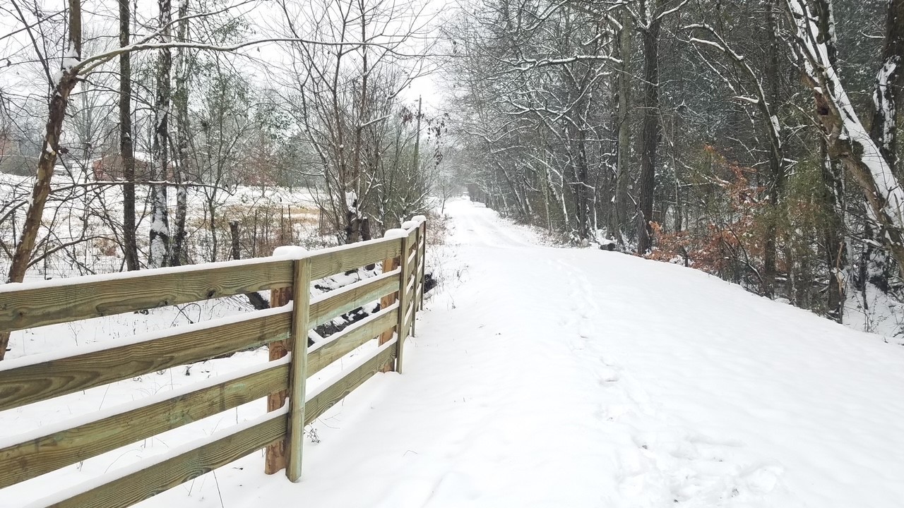 501 Tallent Road