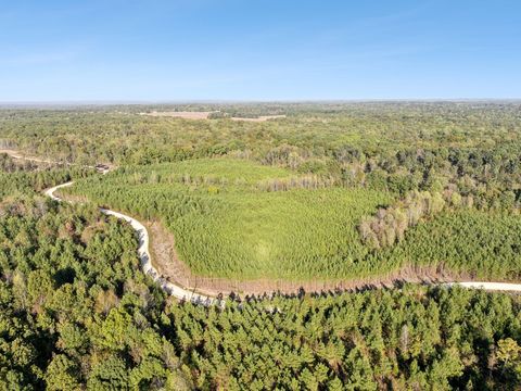 0 Cox Hollow Dover TN 37058