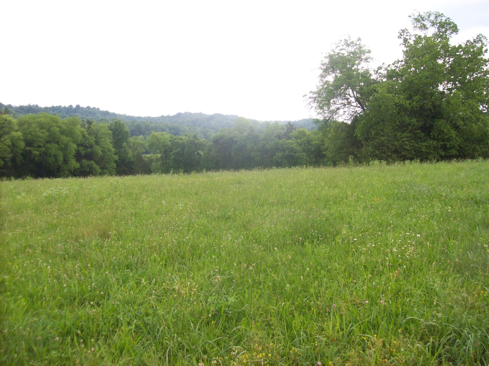 Middle Tennessee Properties 2 0 HWY 130 E