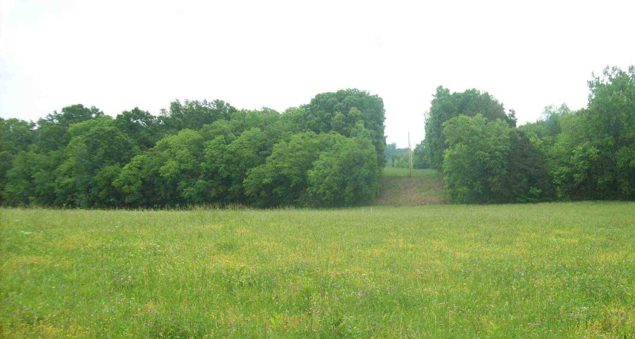 Middle Tennessee Properties 3 0 HWY 130 E