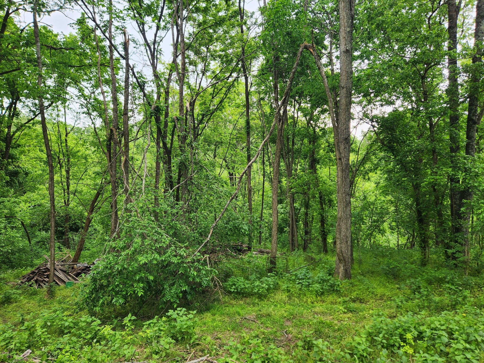 0 Thompson Hill Road