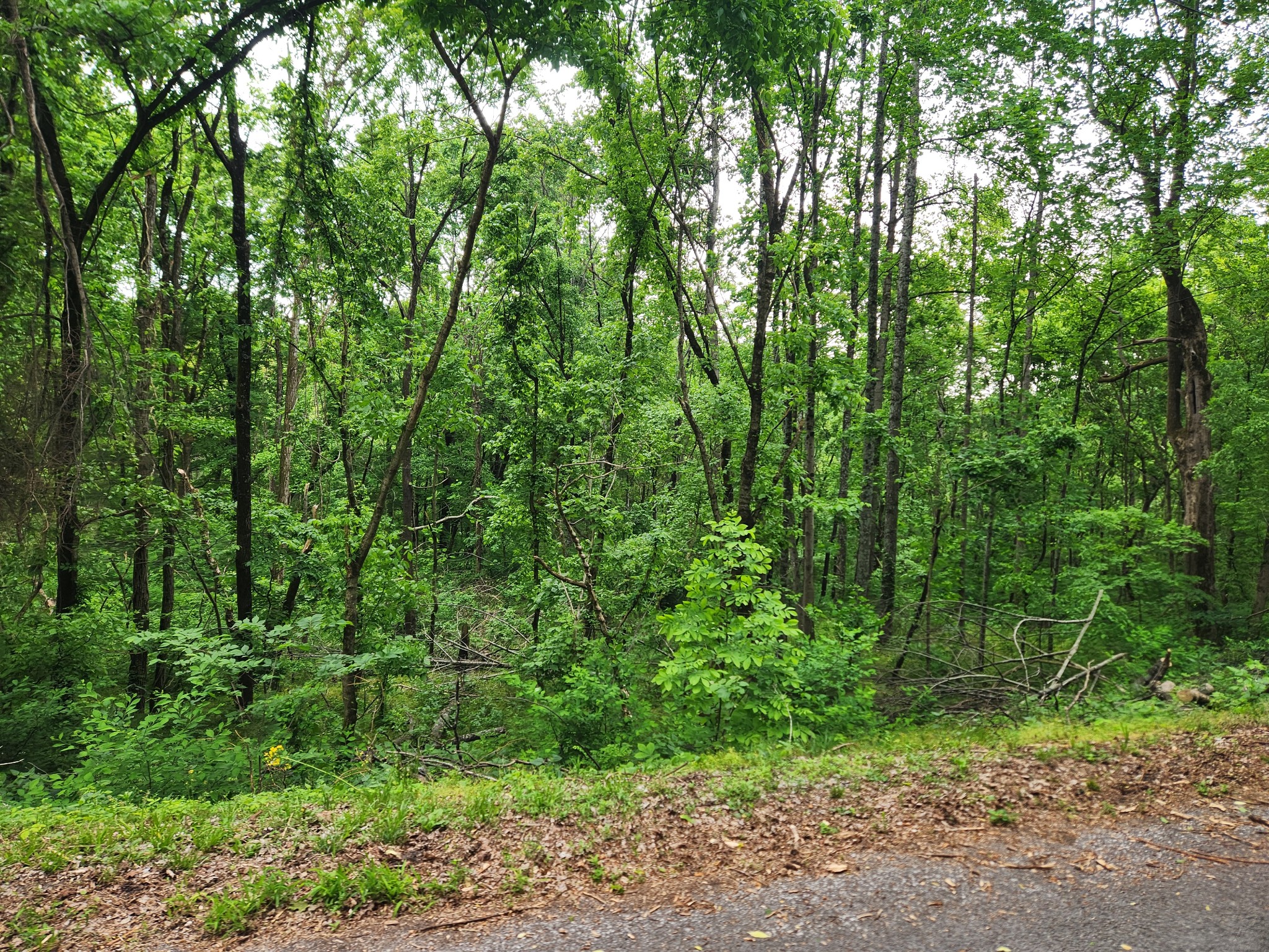 0 Thompson Hill Road