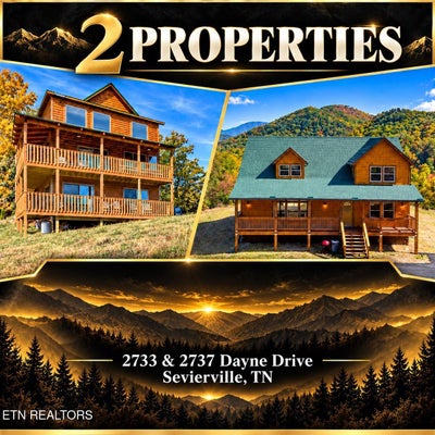 2737 DAYNE DR, SEVIERVILLE, TN 37876 - Image d0e9e91e459ff42209b14044ecf4f807/1631934384