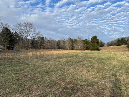 TINNIN RD, GOODLETTSVILLE, TN 37072 - Image d0ebab895a68ef2e7a1d29449e4c0190/1470580934