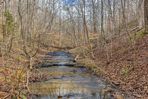 0 Old Sams Creek Road Pegram TN 37143