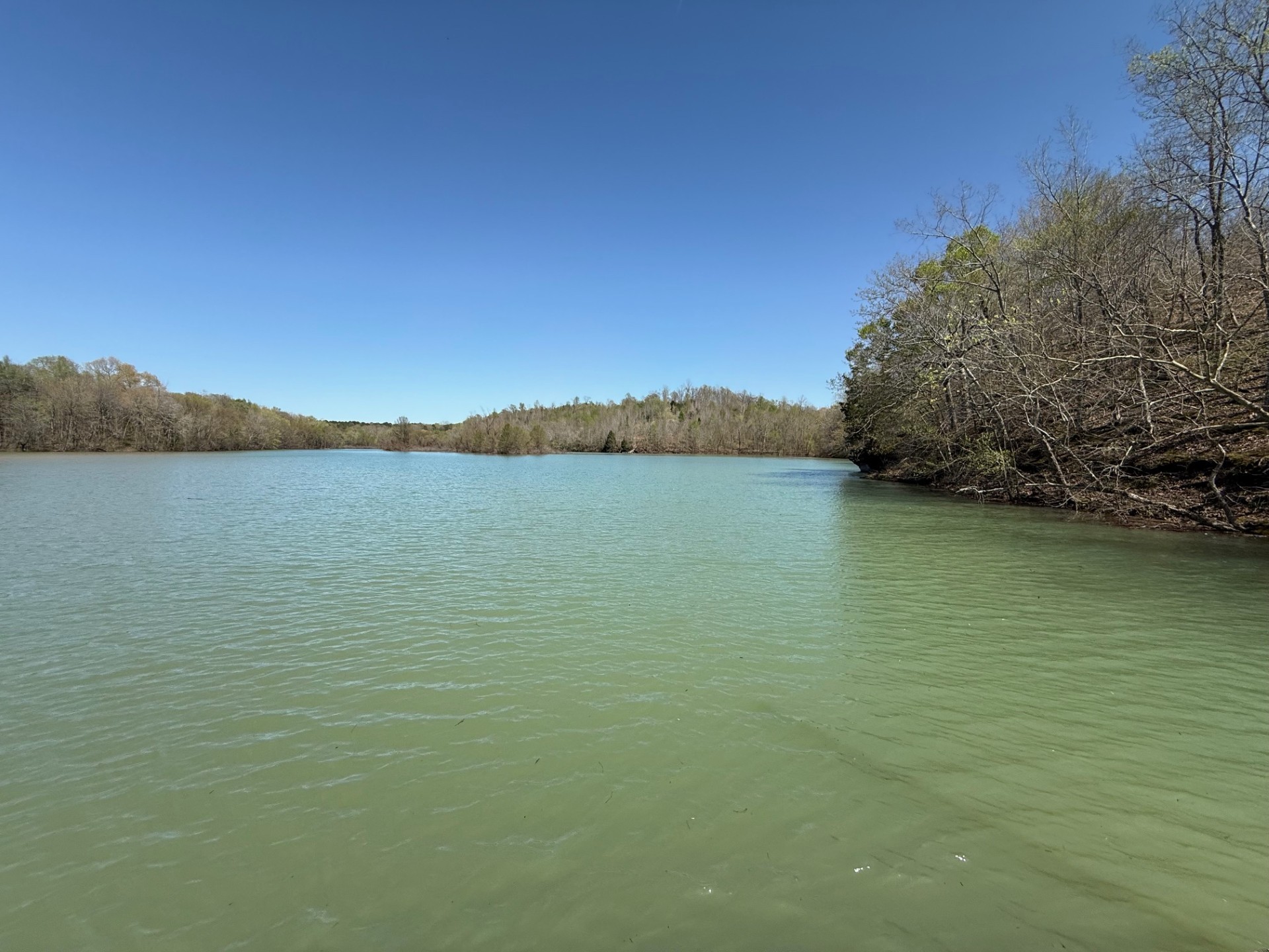 111 Portalatin Pointe