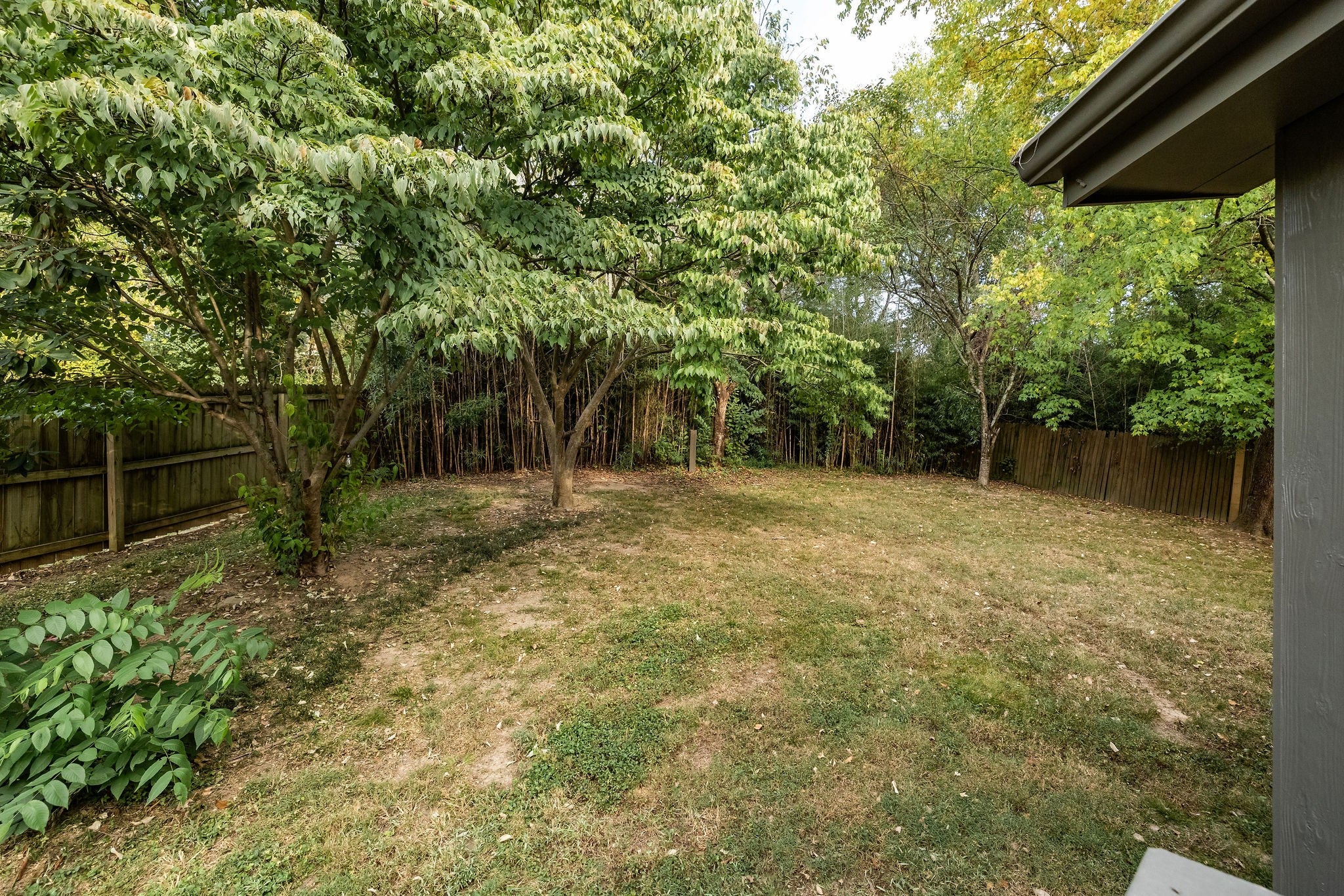 121 Needles Ct