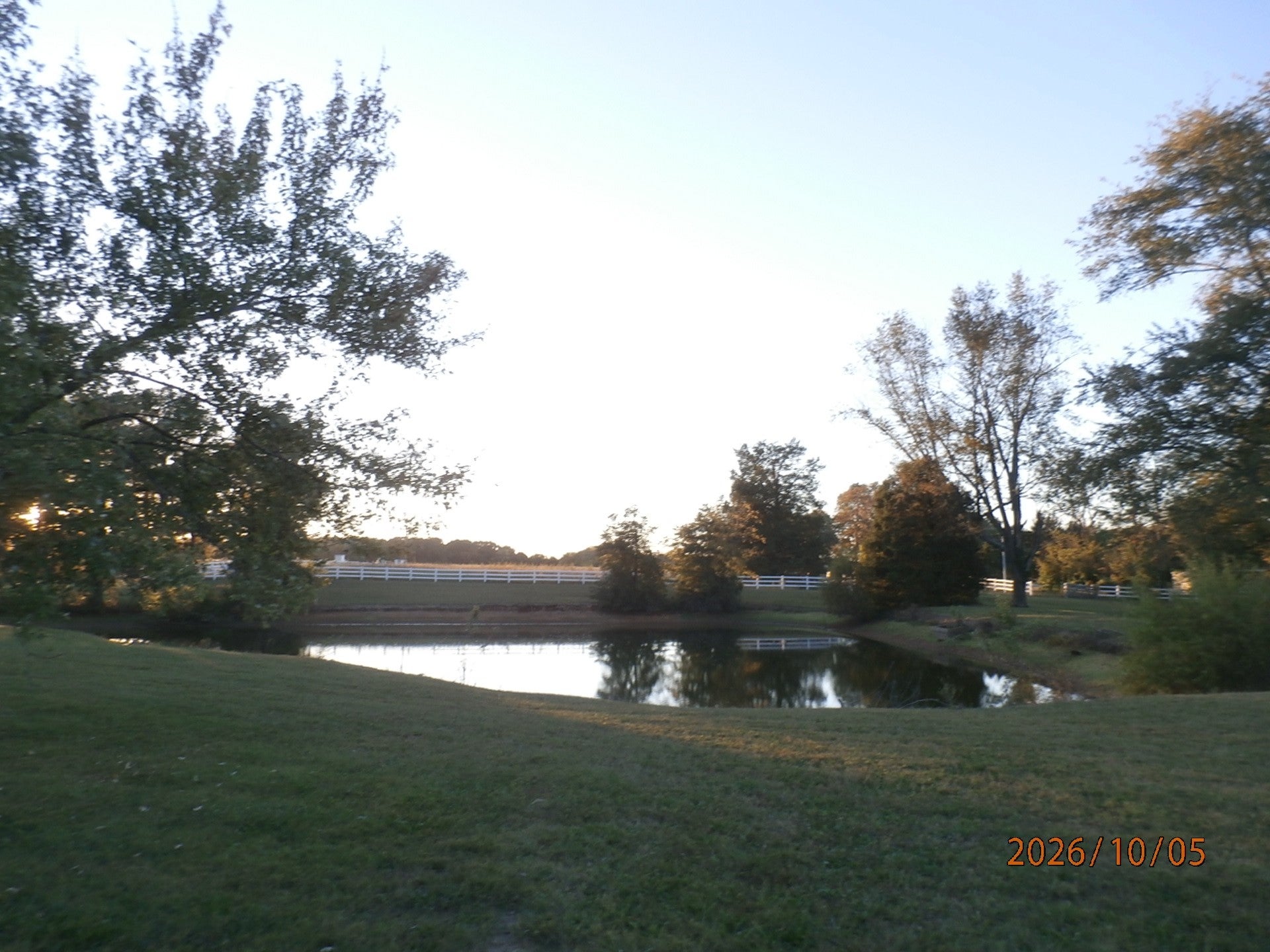 5300 31W hwy