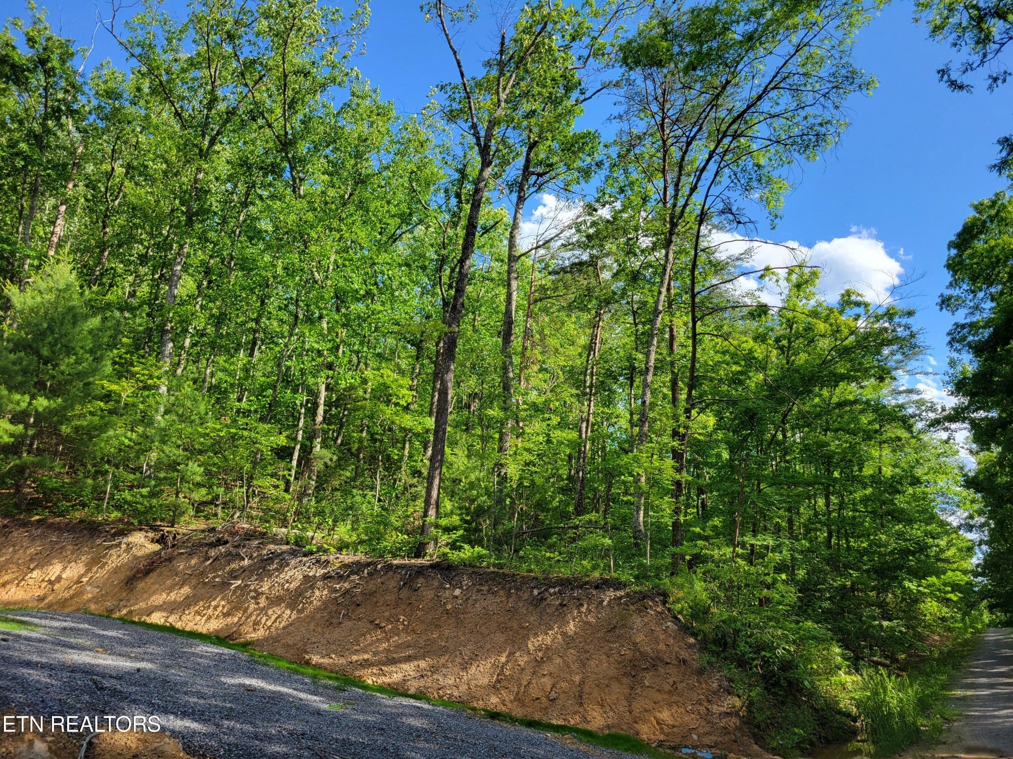 27 Black Oak Drive