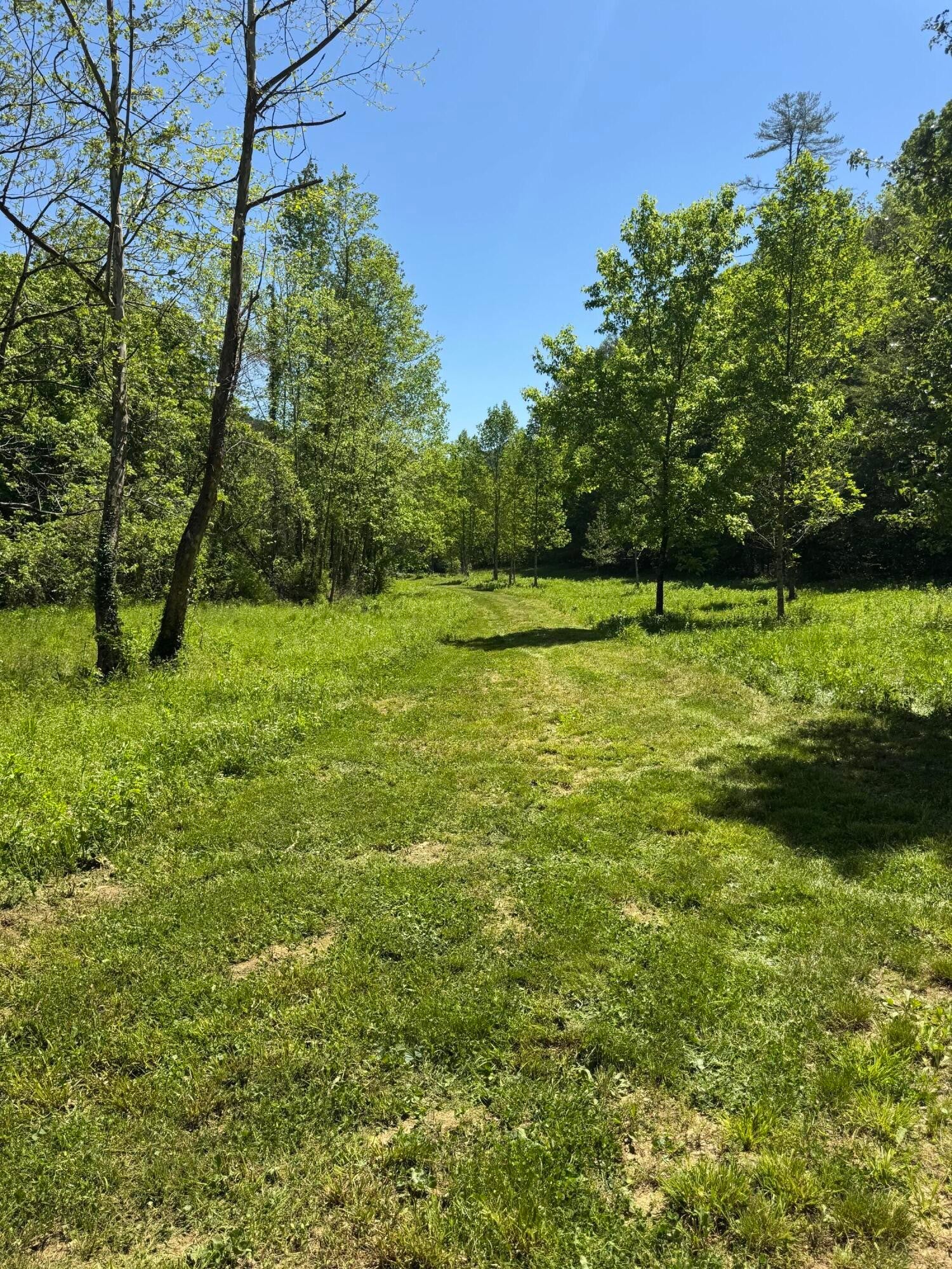 915 Chestnut Valley Road