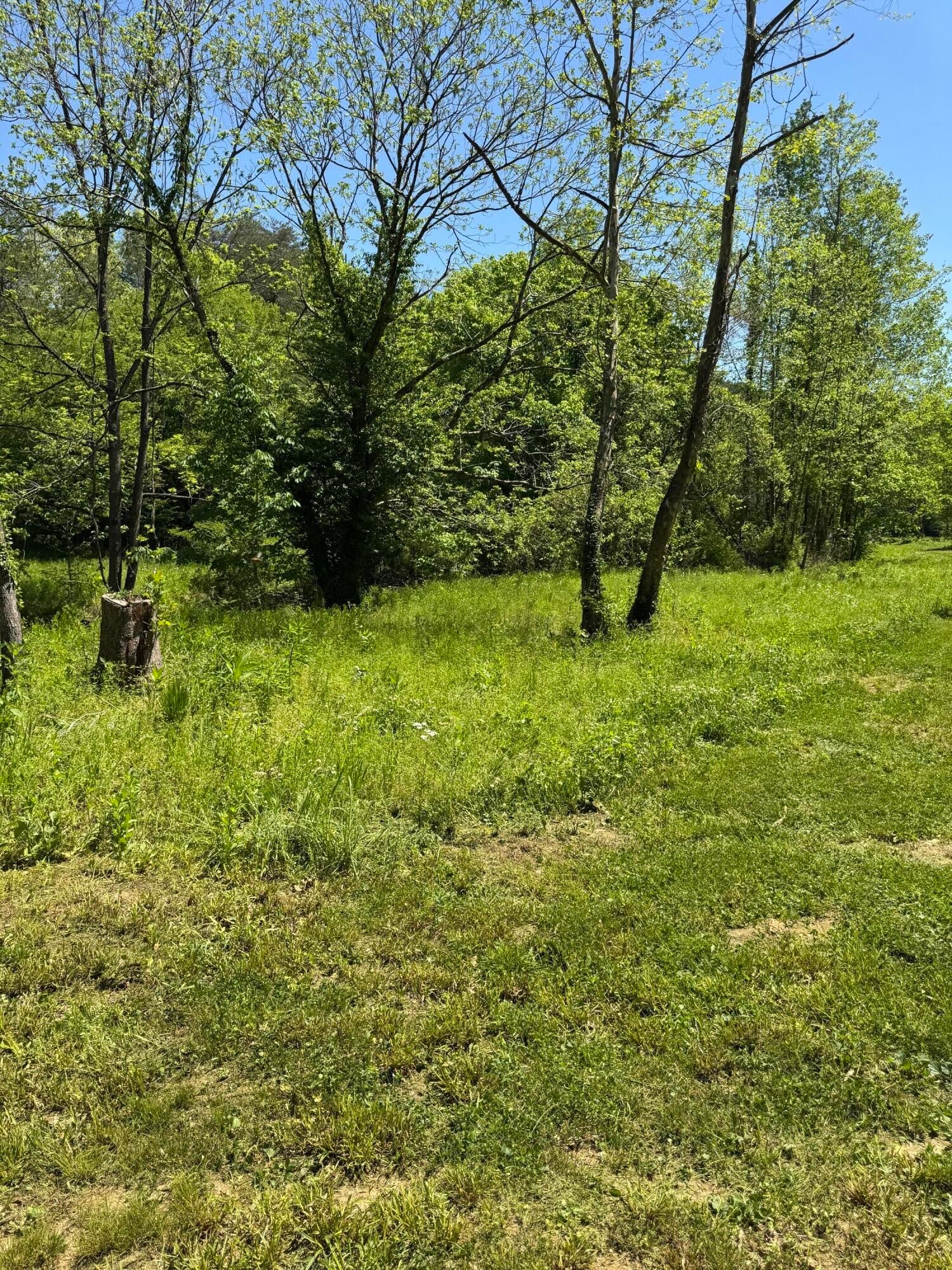 915 Chestnut Valley Road