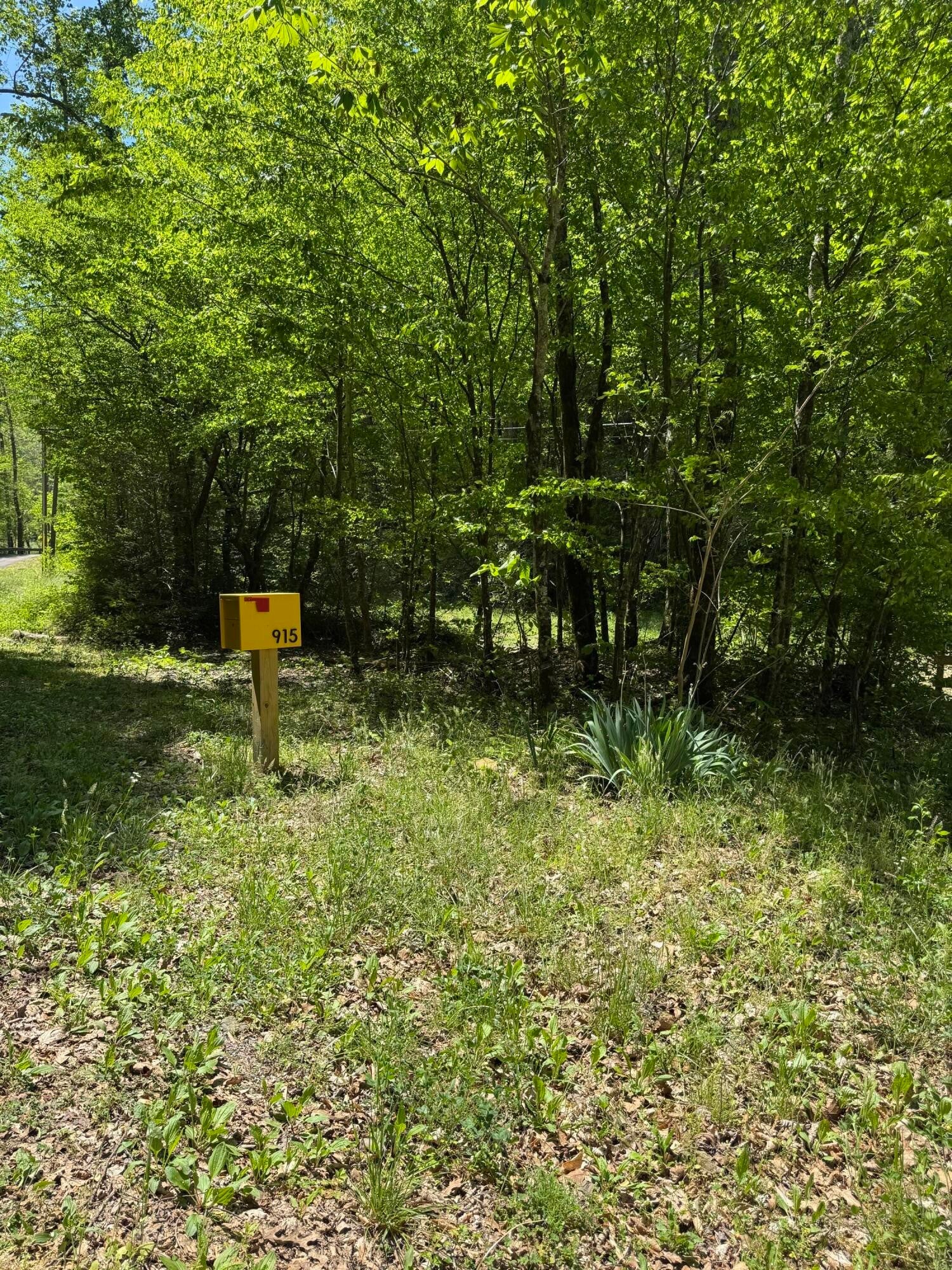 915 Chestnut Valley Road