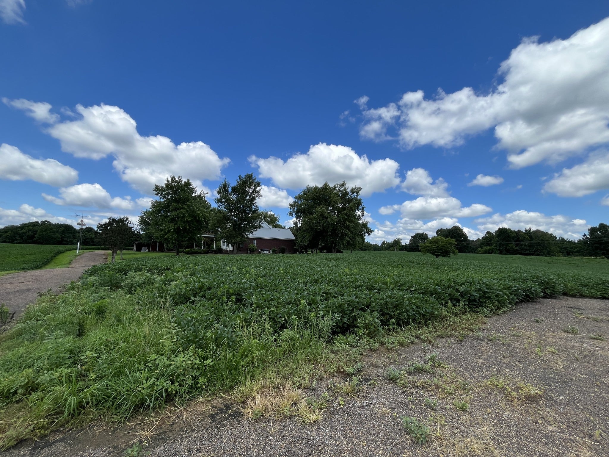 3501 W Highway 21