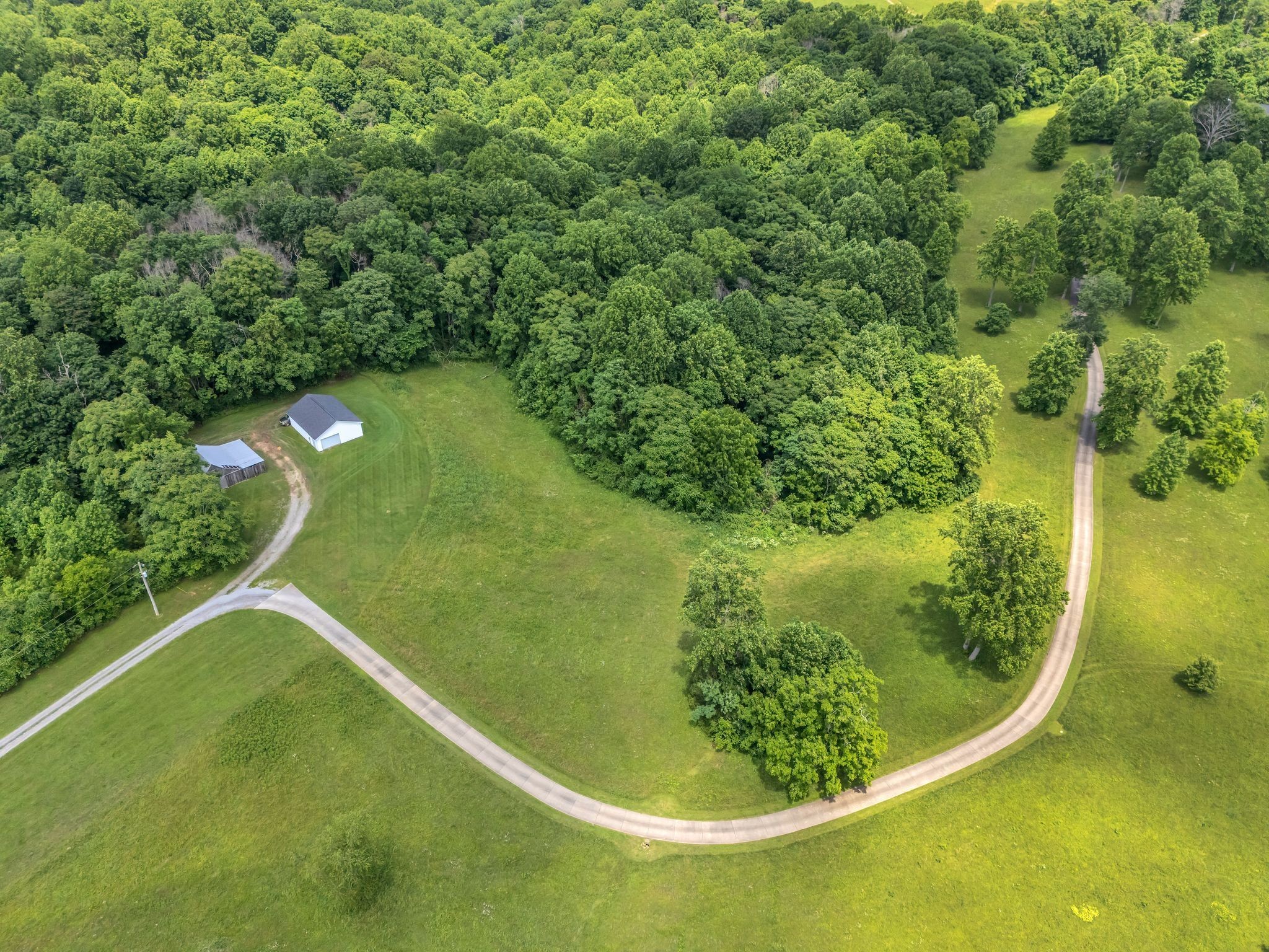 904 Weeping Willow Rd