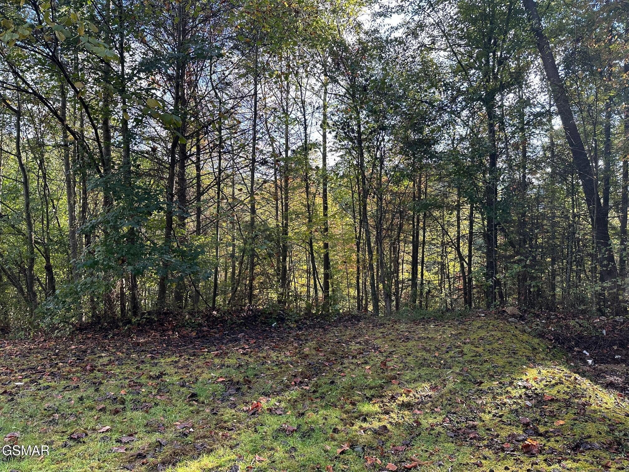 1423 Mountain Dreams Way