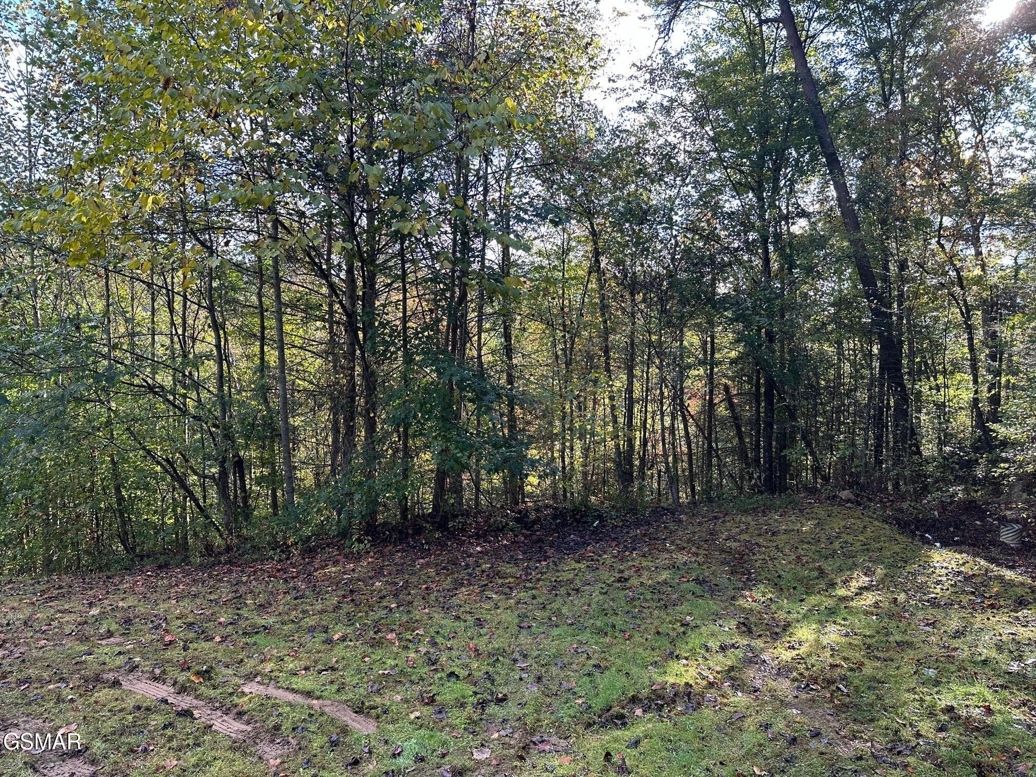 1423 Mountain Dreams Way