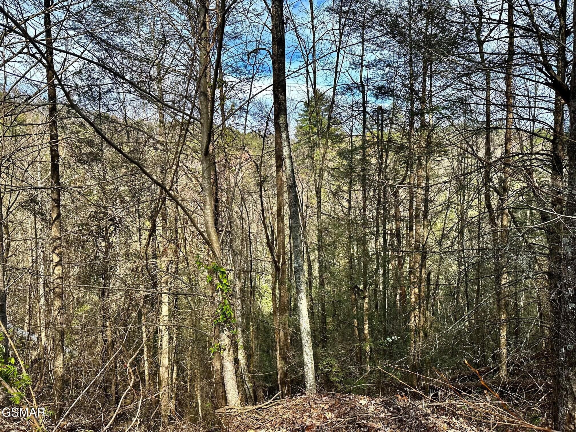 1423 Mountain Dreams Way