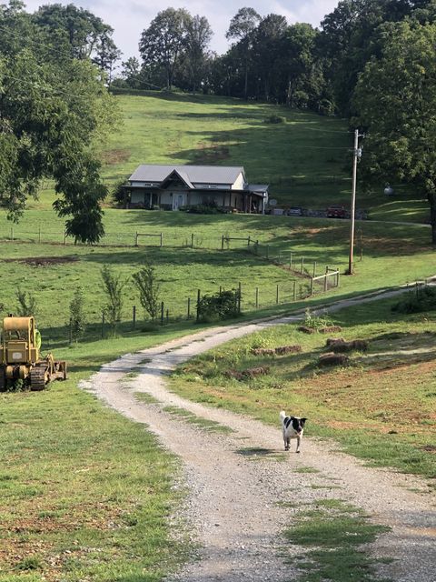 1302 Coosie Branch Rd Cornersville TN 37047