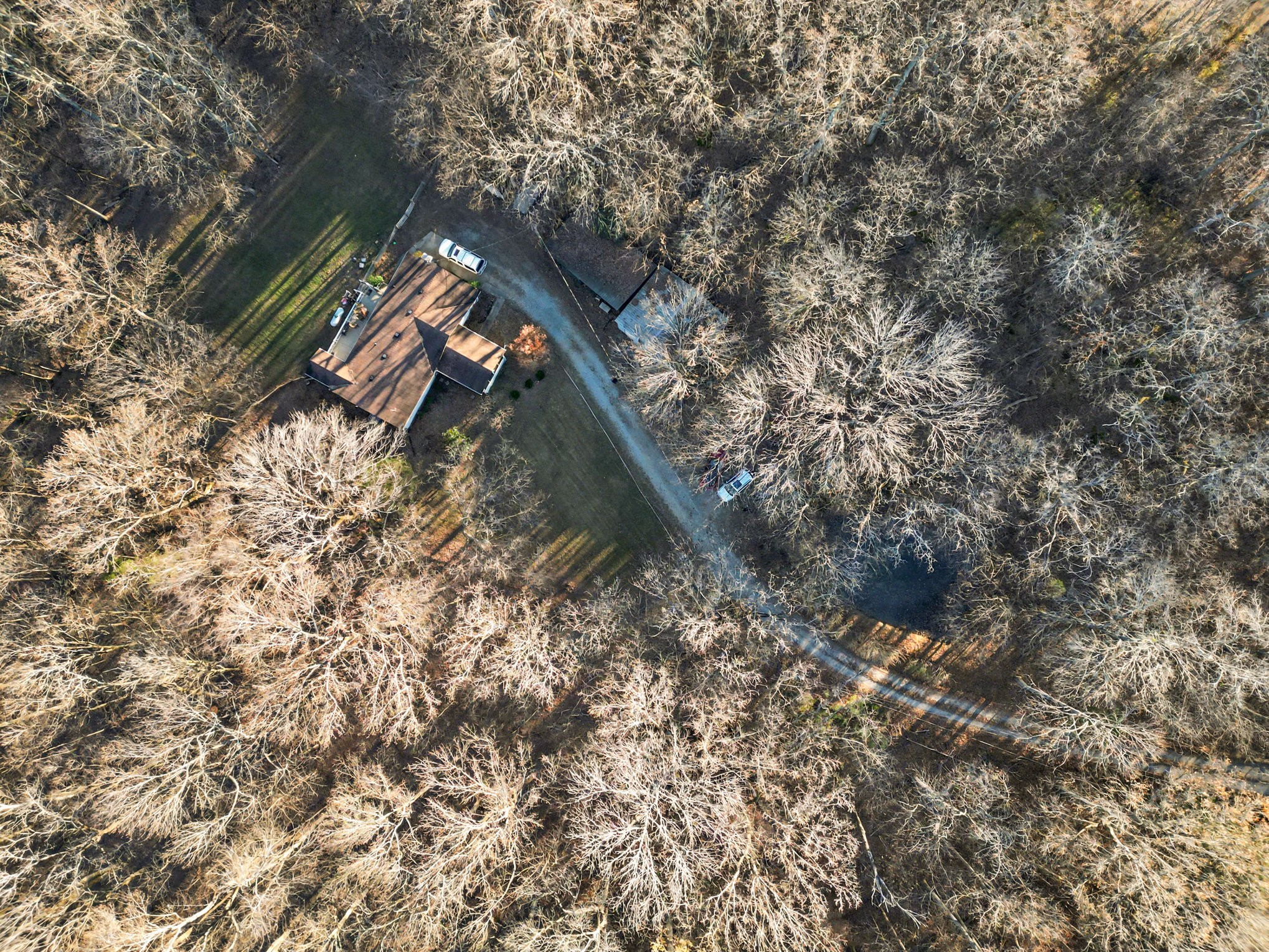 109 Freeman Hollow Ct