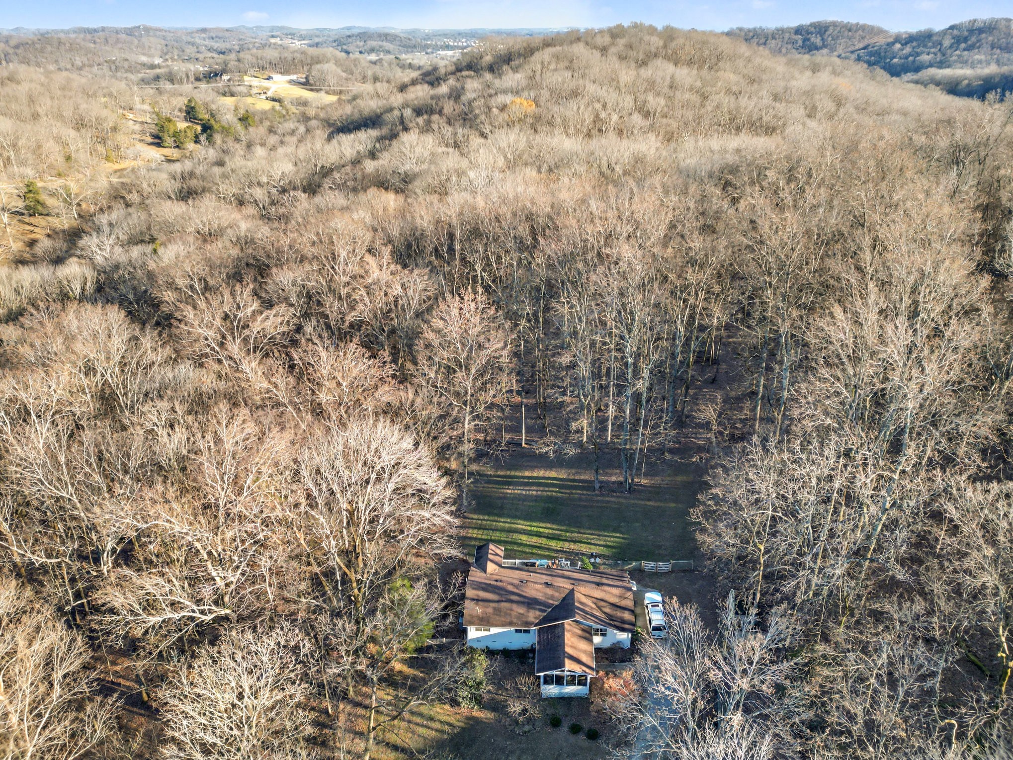 109 Freeman Hollow Ct