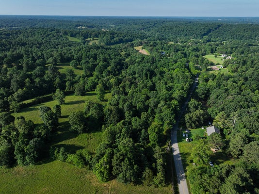 SHILOH CANAAN RD, PALMYRA, TN 37142 - Image d150b3f6aae5a157650040efa7b294d4/815294890