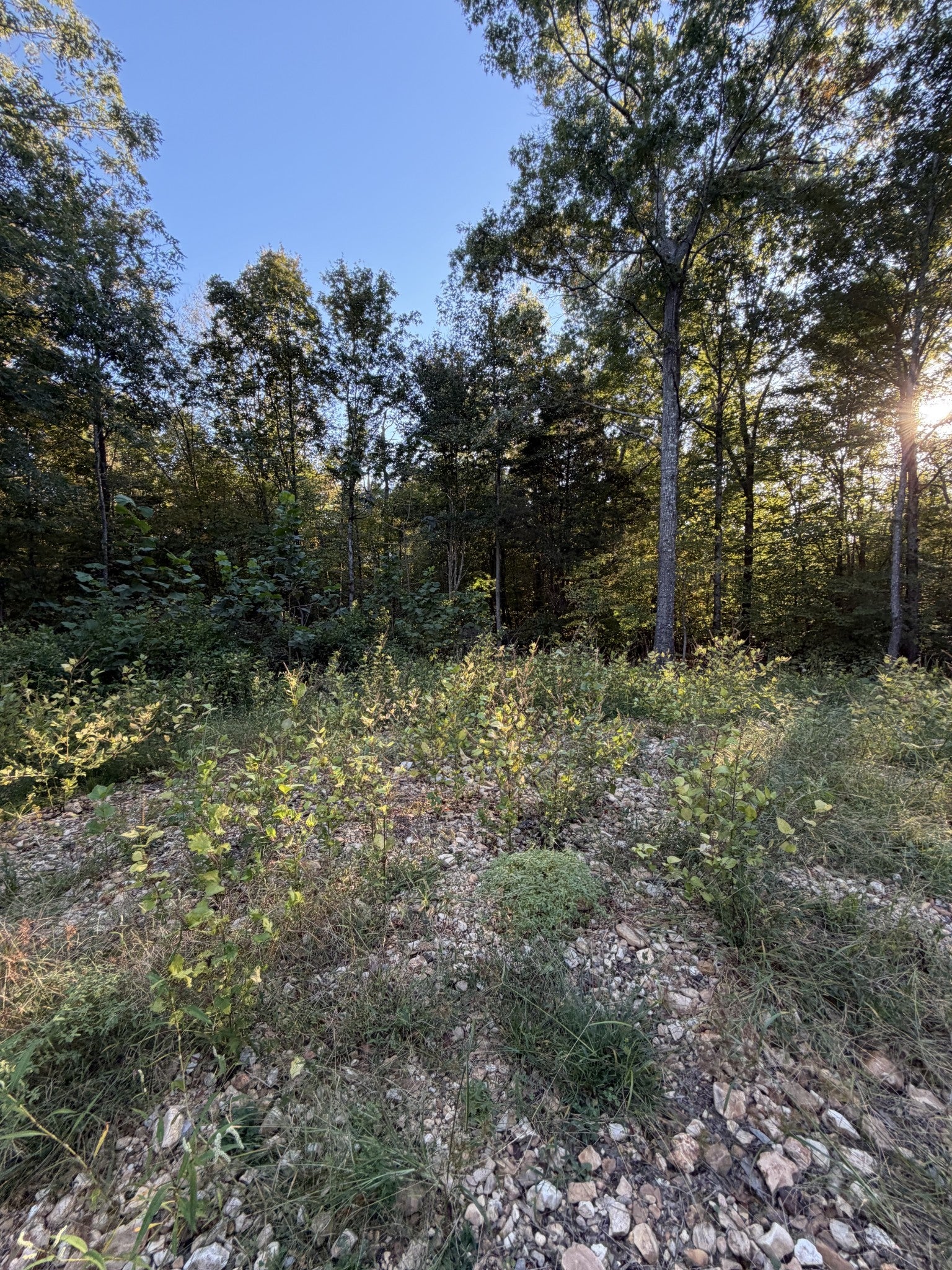 559 Pleasant Hill Rd