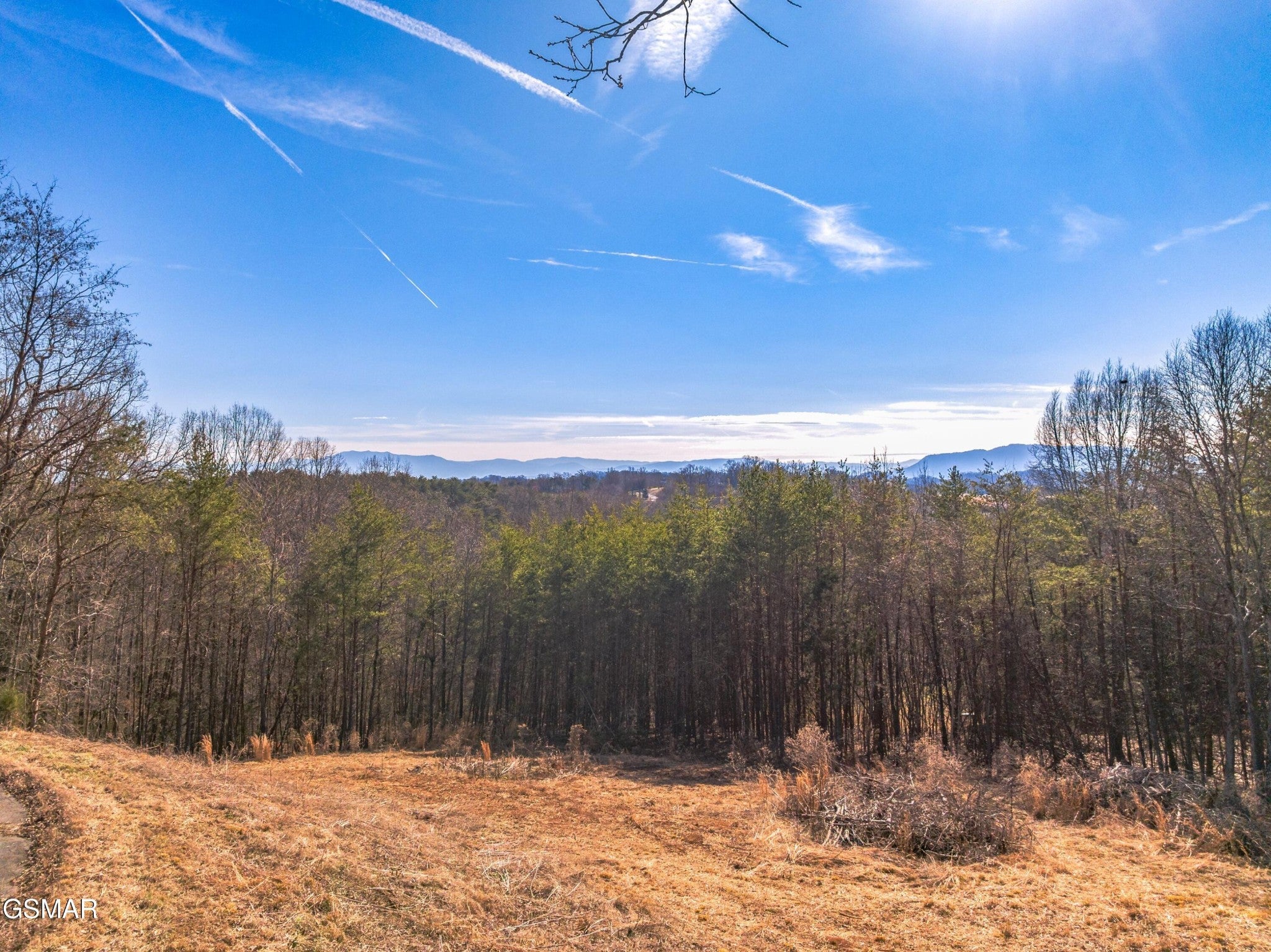53 Kenneth Overlook