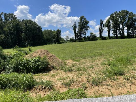 0 Hidden Hills Lane Summertown TN 38483