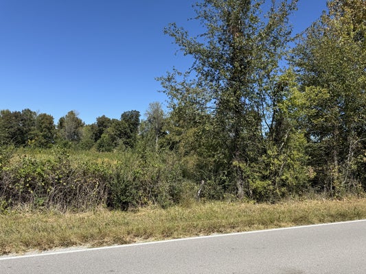 0 OLD FLORENCE PULASKI RD, LEOMA, TN 38468 - Image d18dfffc41f15515f704fcd78c9d8949/1106475737