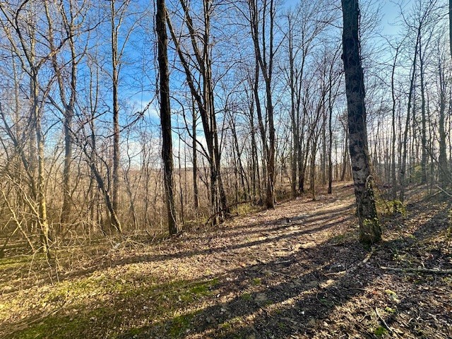 260 Vine Ridge Rd