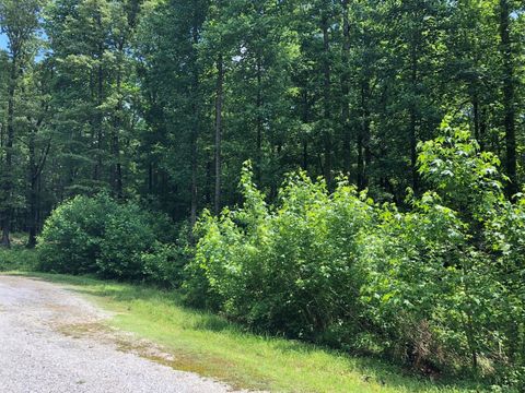 240 War Eagle Dr Cedar Grove TN 38321