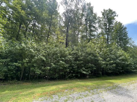 240 War Eagle Dr Cedar Grove TN 38321