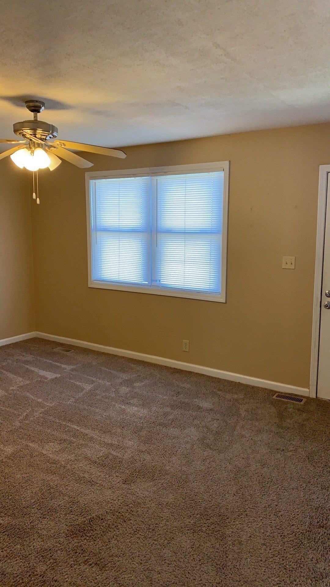 339 Woodale