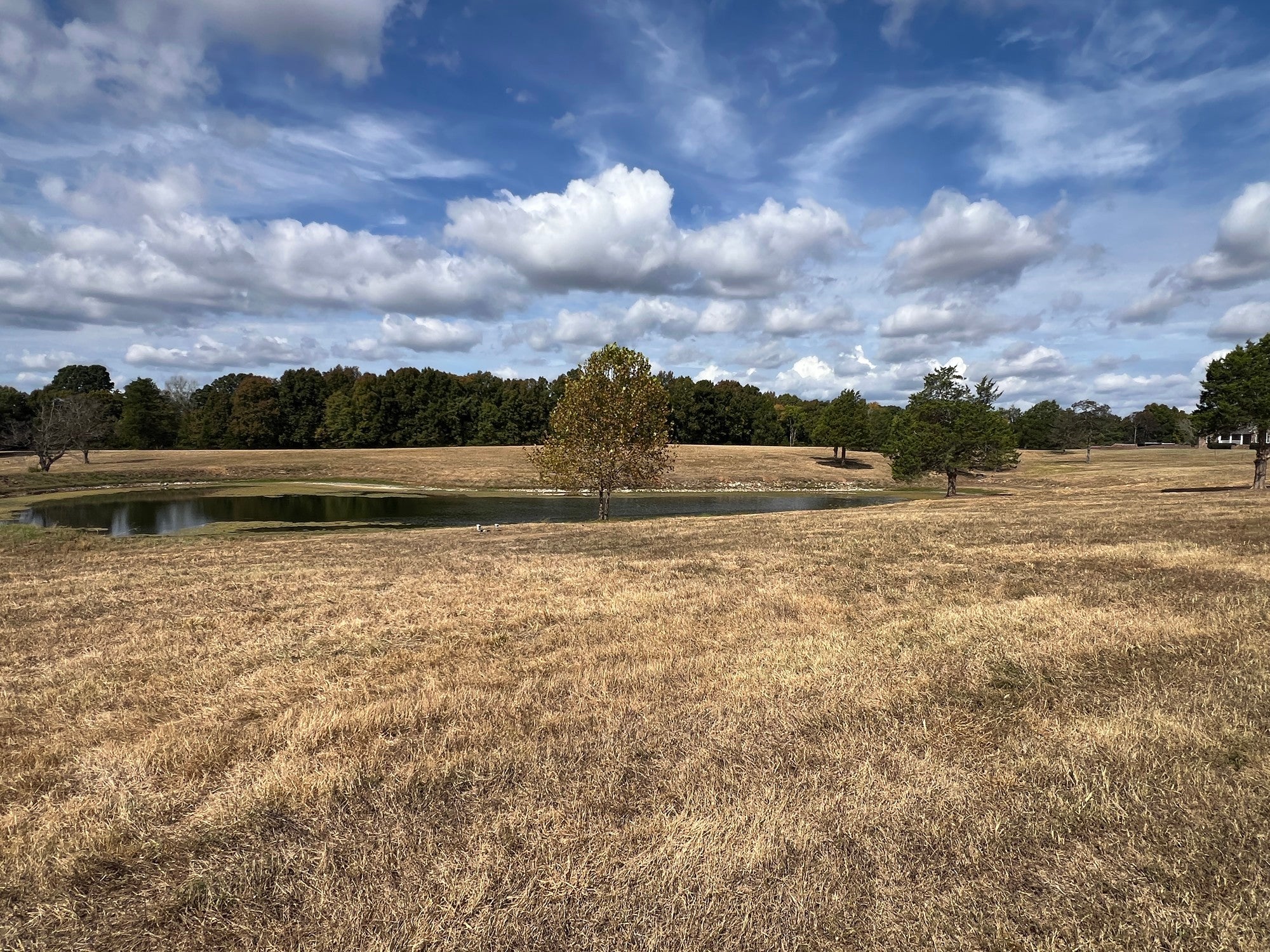 3026 Highway 270