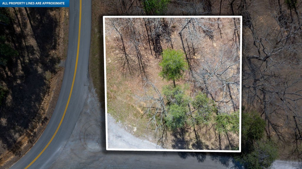 20598 Macedonia Church Rd