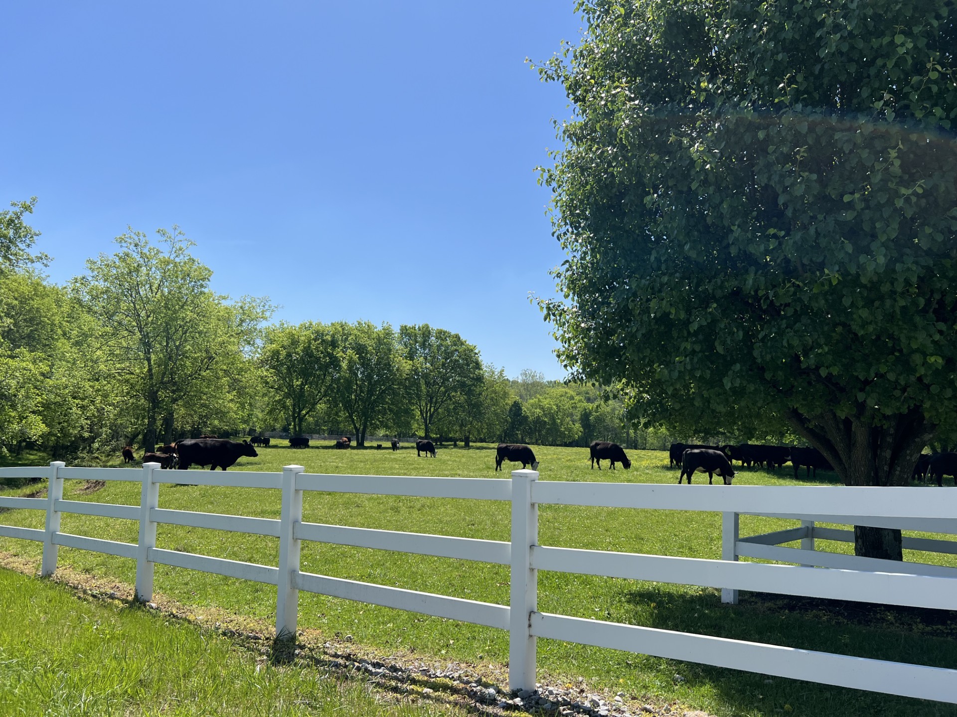 6628 Bethesda Arno Rd