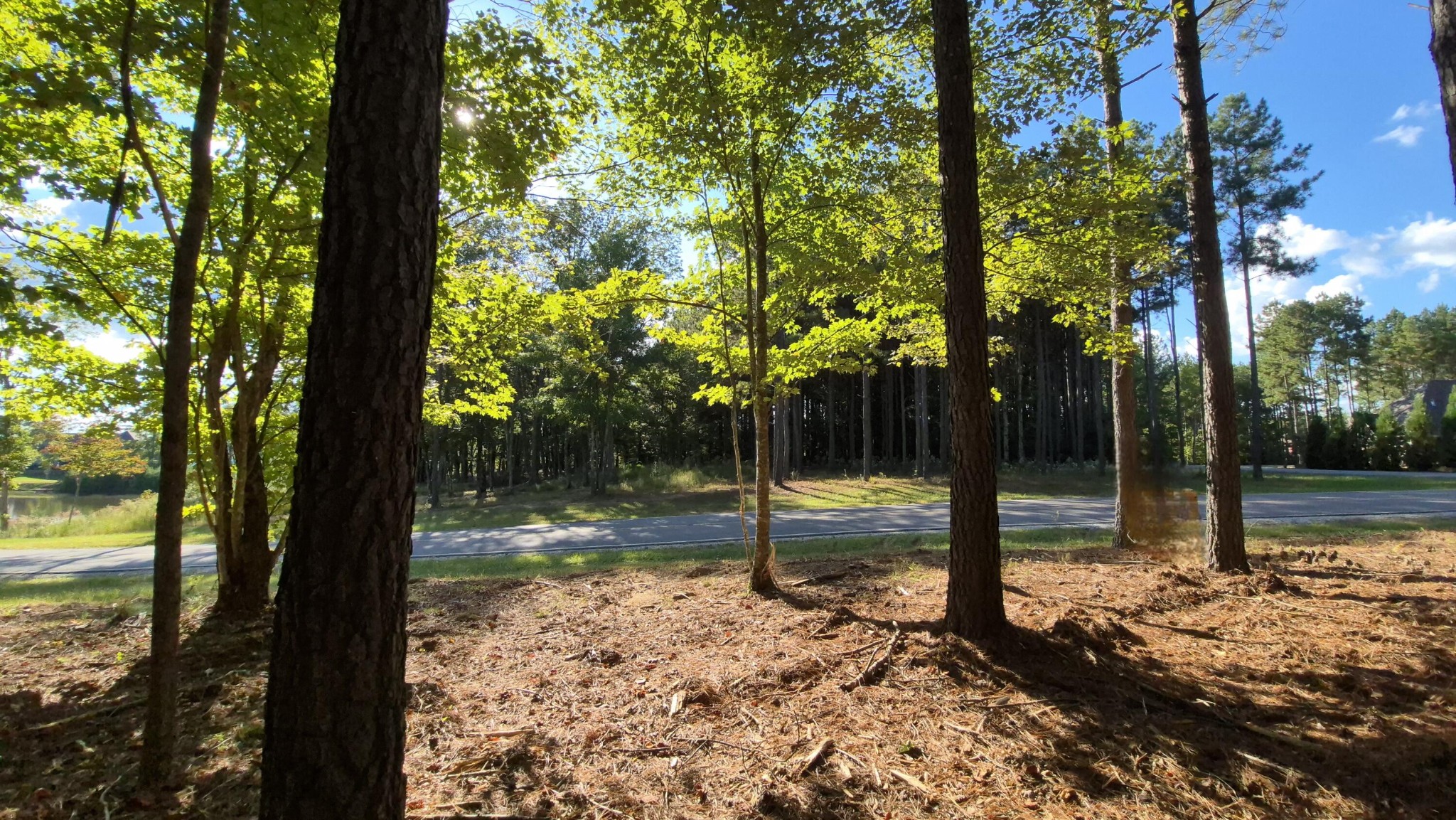 4560 Raulston Falls Road