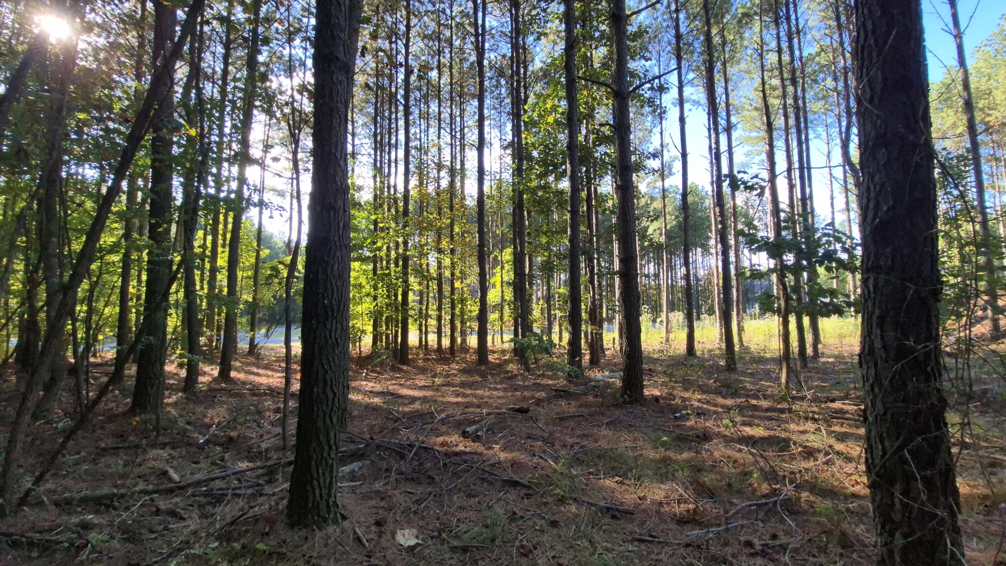 4560 Raulston Falls Road