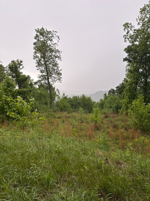 0 Schelley Rd