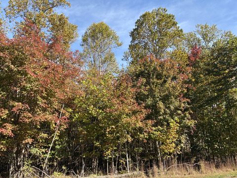 0 Volunteer Street Jasper TN 37347