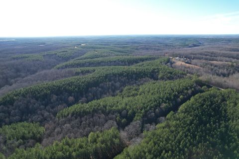 0 Hudson Rd Hohenwald TN 38462