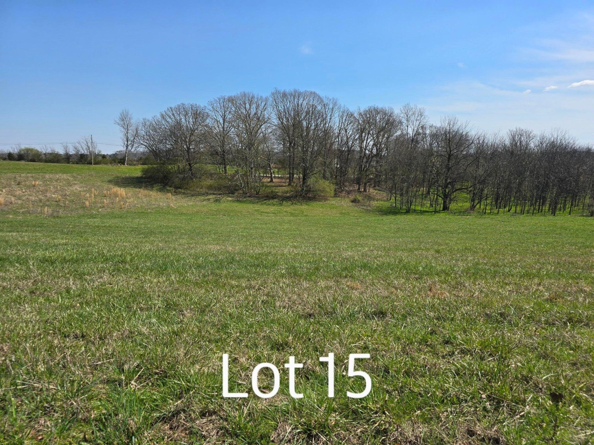 15 Watauga Lane