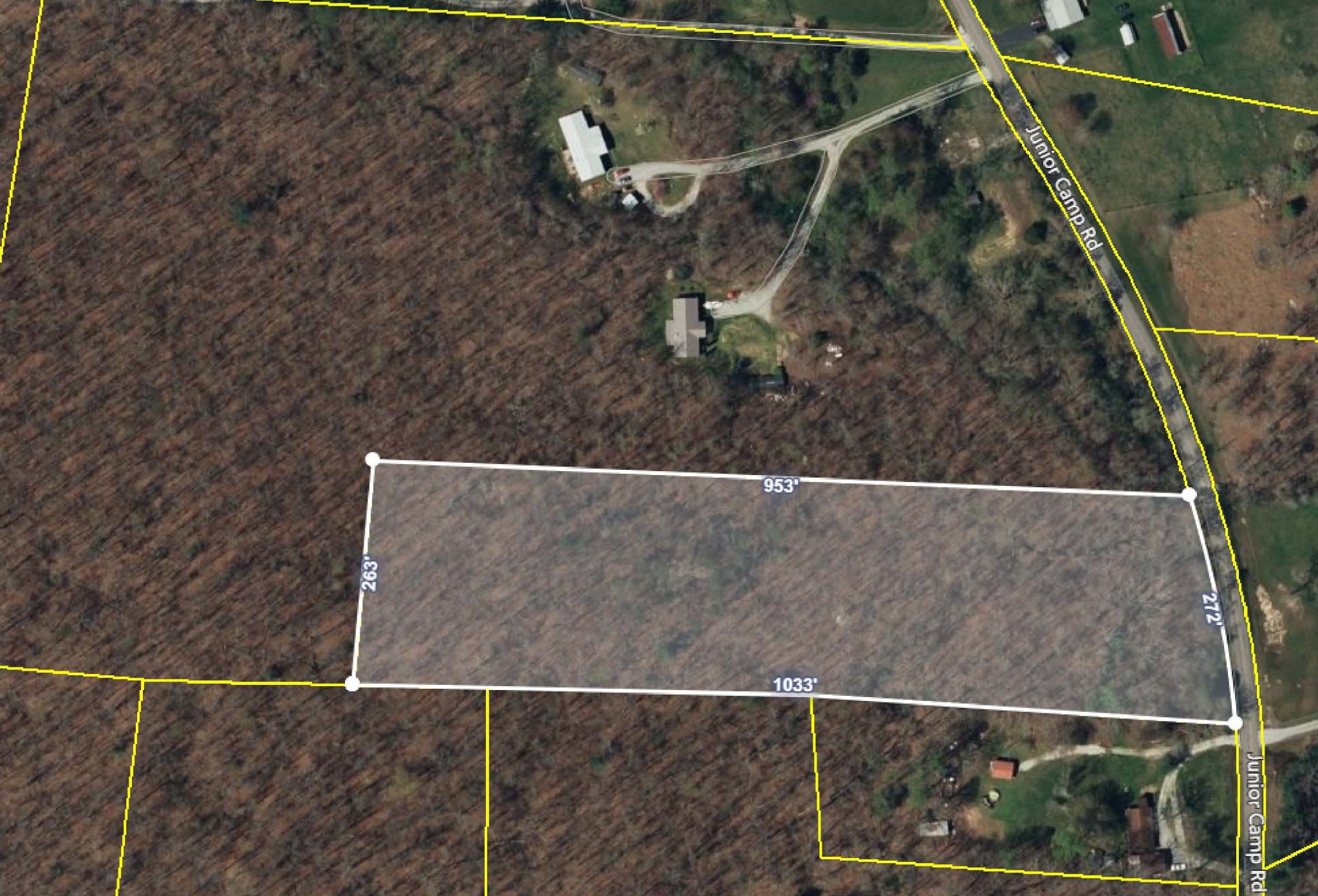 Listing image 4