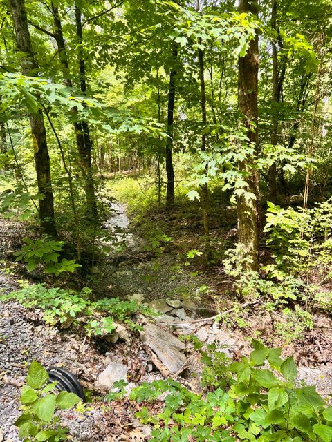 0 Heine Lane Hartsville TN 37074