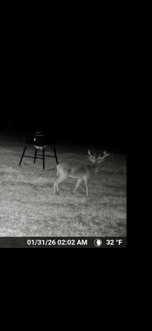 0 Sealy Wells Rd
