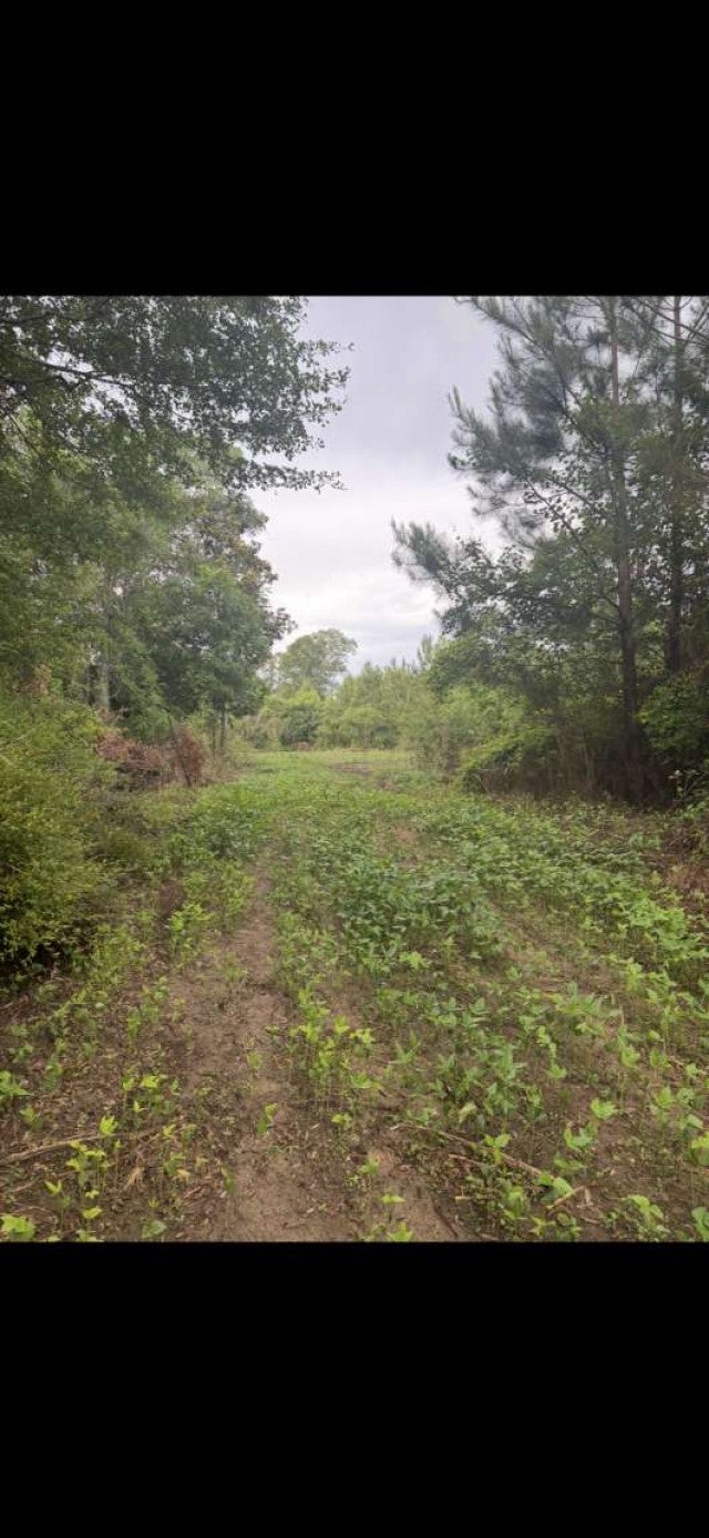 0 Sealy Wells Rd