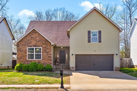 3658 Fox Tail Dr, Clarksville, TN 37040 - MLS#: 2812122
