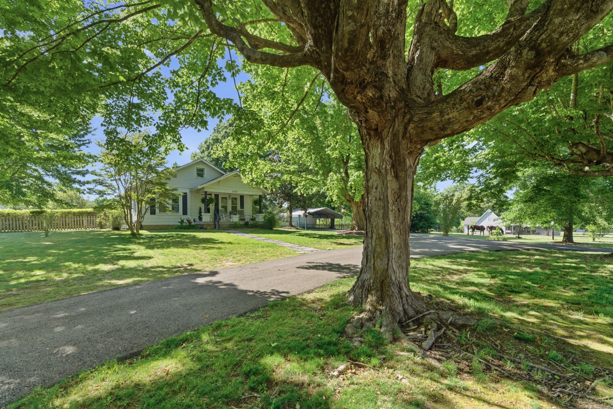 2858 Jack Teasley Rd