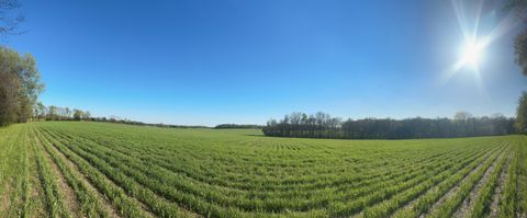 0 Hwy 31W Cottontown TN 37048
