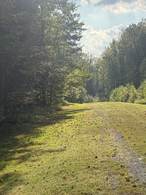80 Torpedo Ct Cedar Grove TN 38321